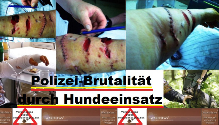 Polizeigewalt durch Hundeeinsatz am 28.09.2012 vor der Botschaft Germanitien in 32584 Löhne